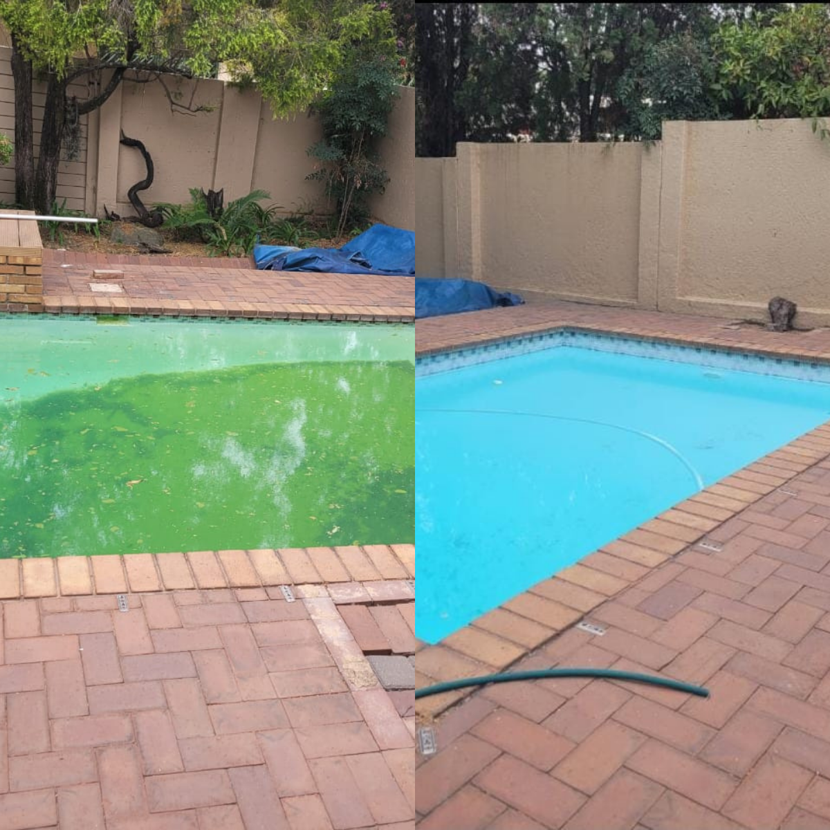 Pool Maintenance